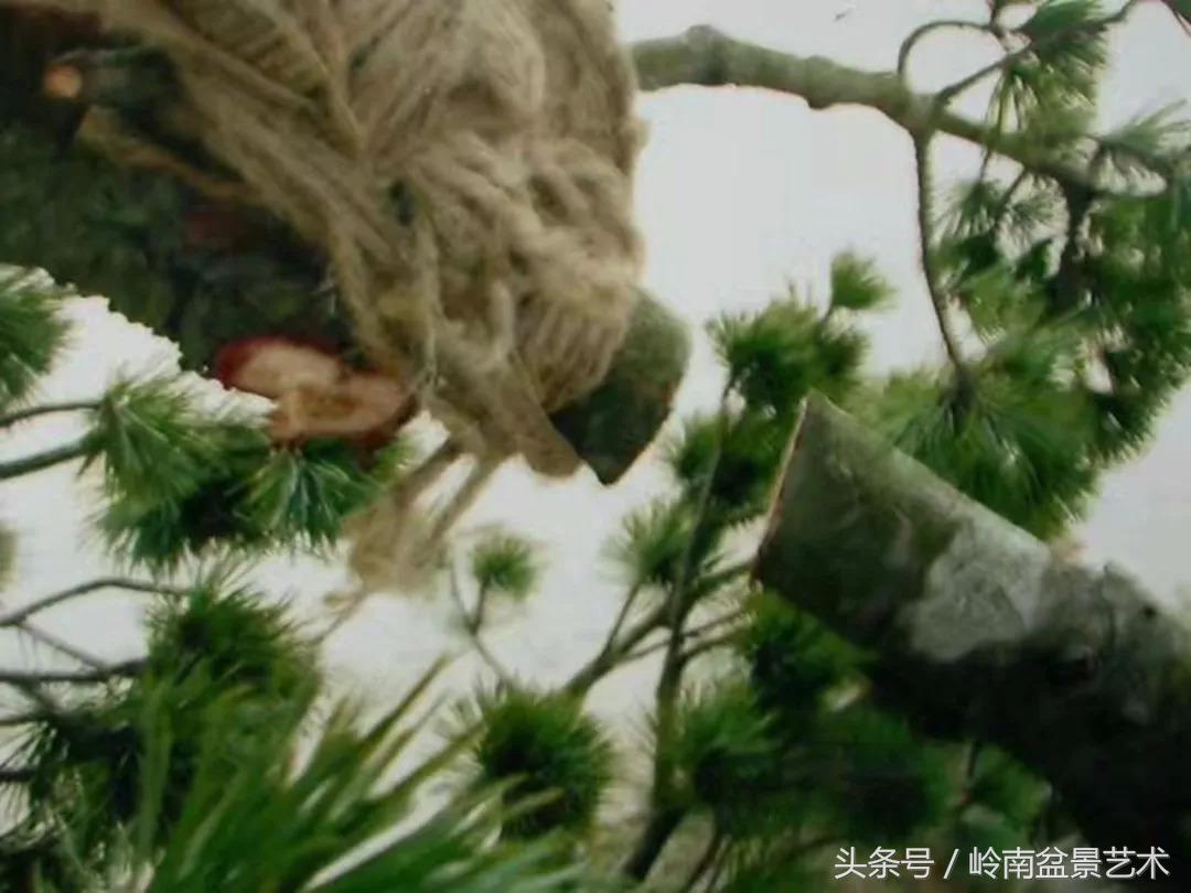 神来之笔绘画作品欣赏,神来之笔书法作品大全