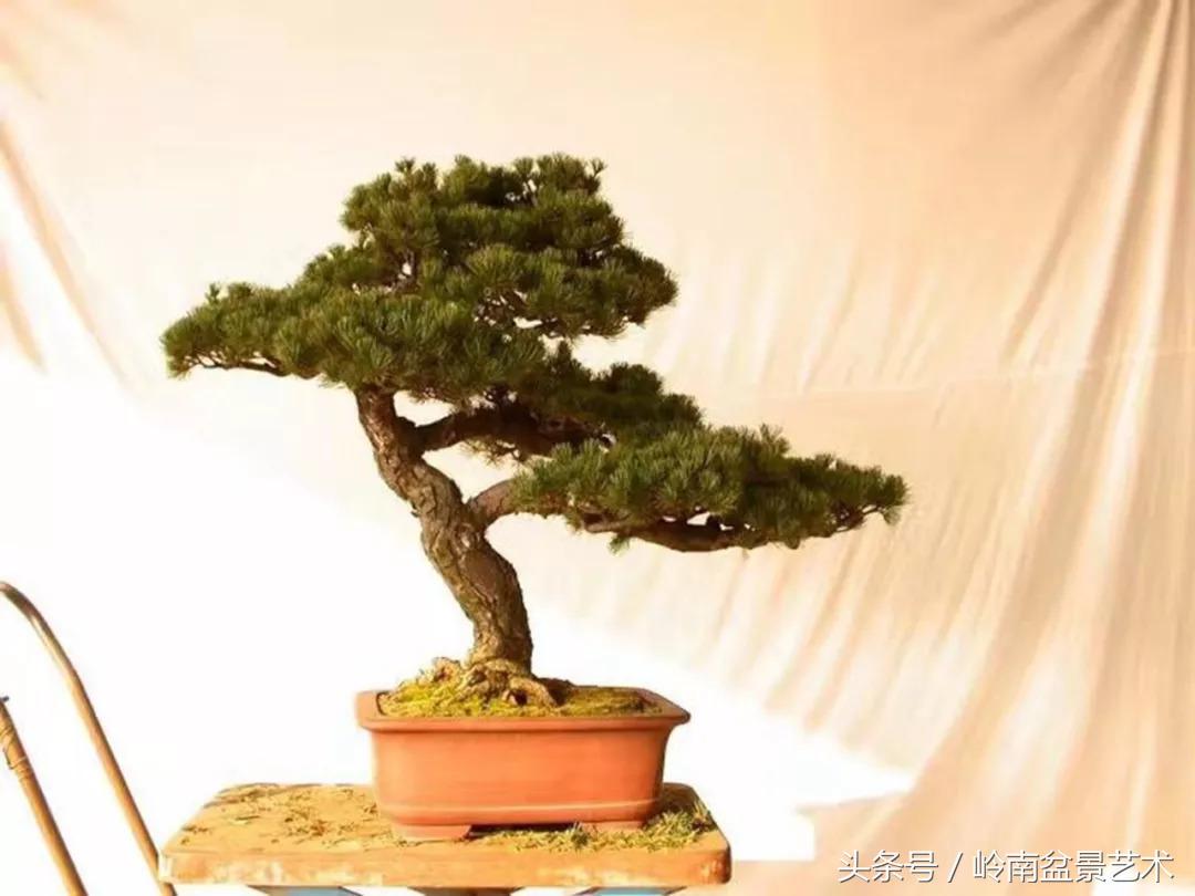 神来之笔绘画作品欣赏,神来之笔书法作品大全