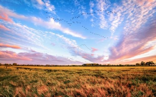 屁股里有根筋坐着不舒服,感觉屁股有根肠子疼不能坐