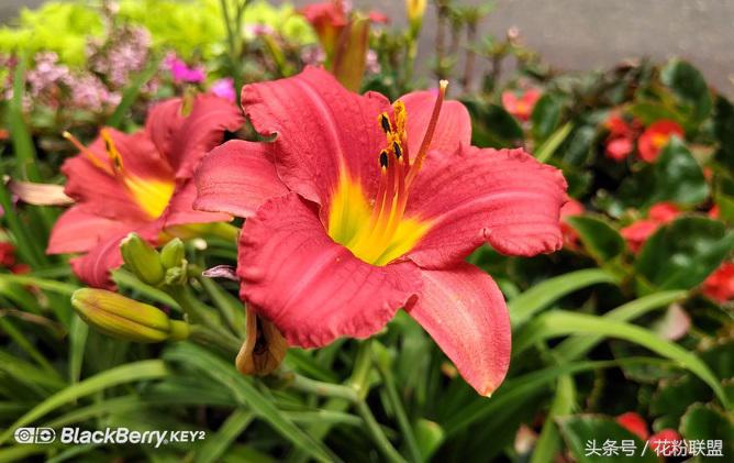 拍照水印哪个好用,照片水印哪个品牌先用