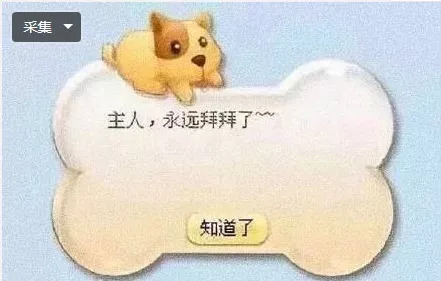 QQ宠物下线了，当年的你是悉心照料还是想掐死企鹅？