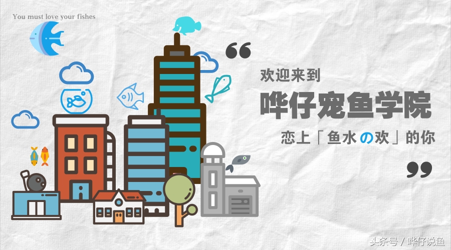 鱼缸飘荡的那些毛毛是什么东西？送你一个好办法，将它们一扫而光