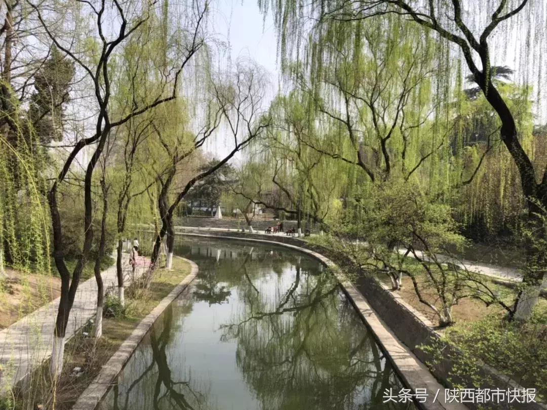 西安被遗忘的公园,西安被人遗忘的公园