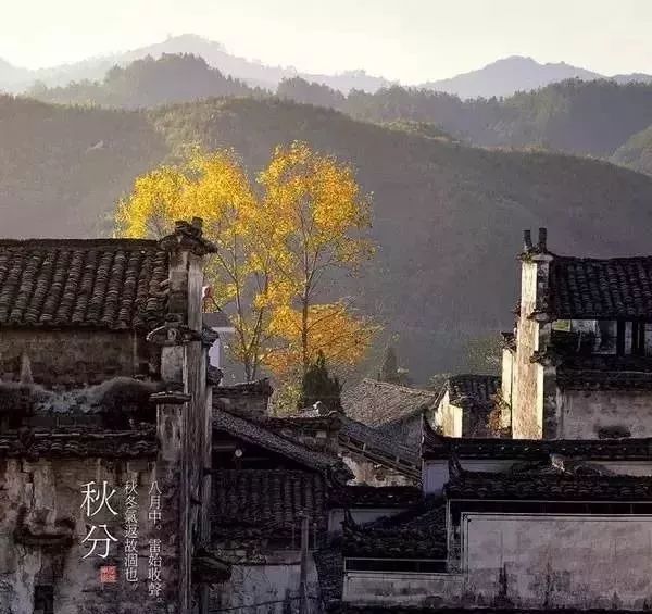 秋分中国农民丰收节会议视频,秋分共庆中国农民丰收节