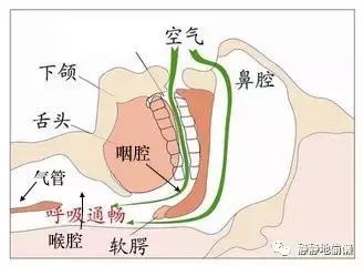 打呼噜怕影响别人不敢睡,打呼噜吸气有声呼气没声