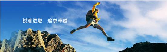 丽鹏股份深度解析,丽鹏股份趋势