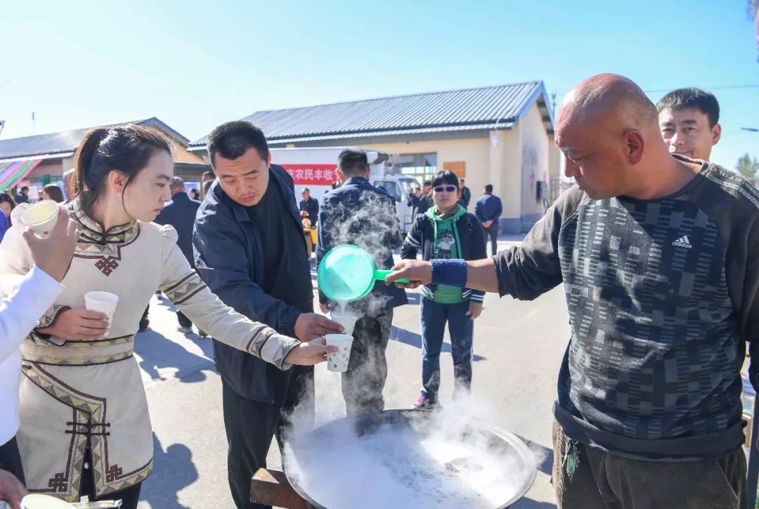 现场太火爆！看东胜区折家梁村如何庆丰收！