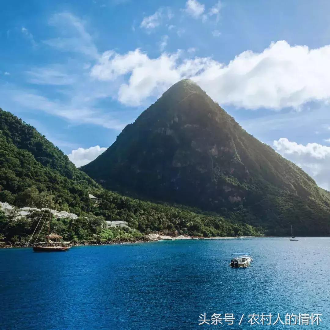 “三竹”过后真正的报应来了