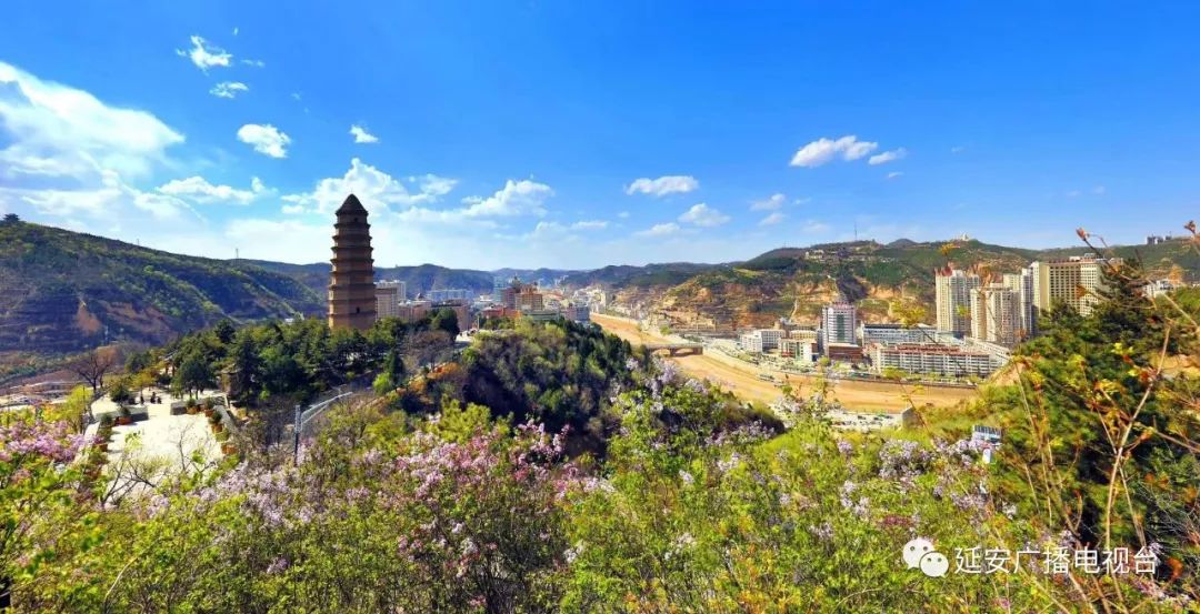 24年宣传思想文化工作要点,延安市宣传工作会