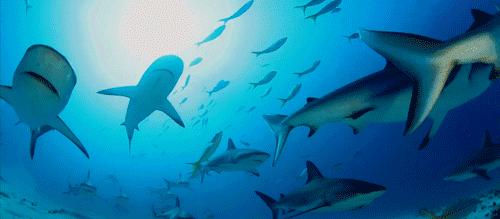 如果月球倒在地球上会是什么样呢,月球没掉的瞬间地球会发生什么