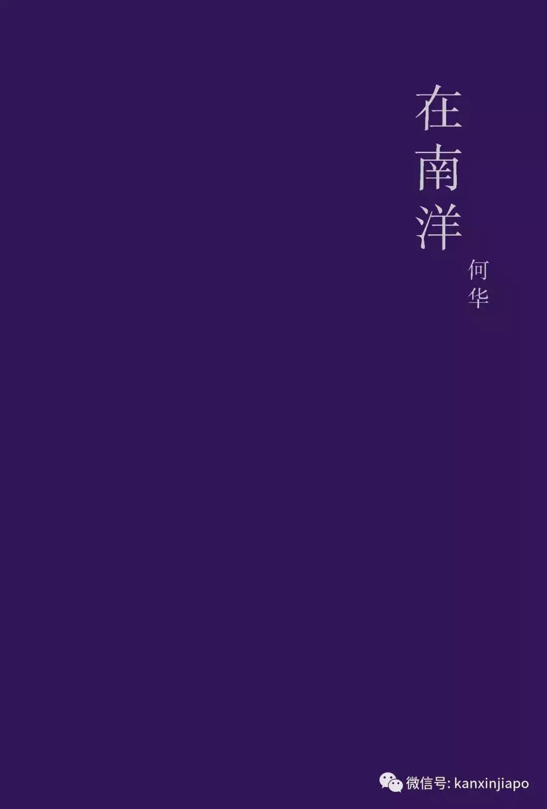 南洋最正宗的美食,新加坡南洋美食