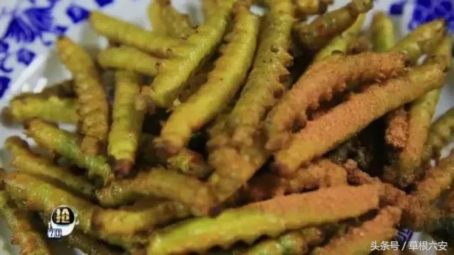 六安这种常见的虫子,竟然卖到了180一斤!你家附近有吗?