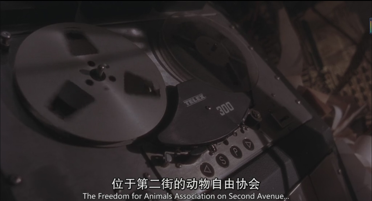 《十二只猴子》超越了《终结者》的穿越电影，堪称时空电影鼻祖