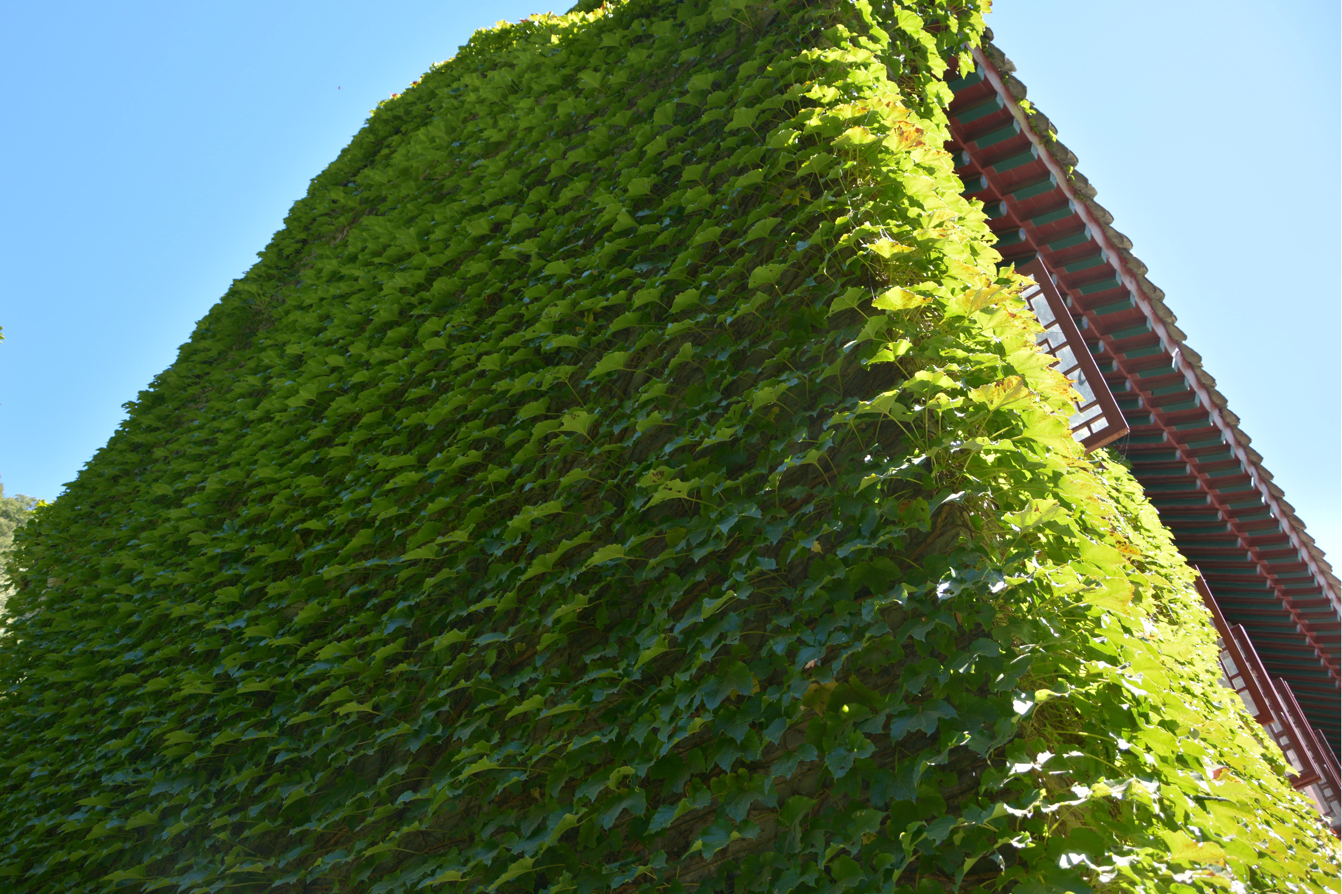 盘山旅游游记,盘山最新旅游攻略一日游