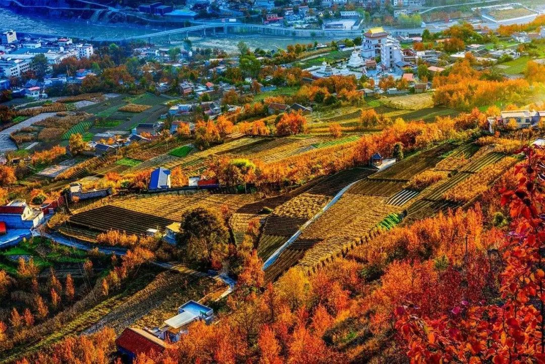 红叶秋天的一道独特风景,红叶美景惊艳了整个秋天