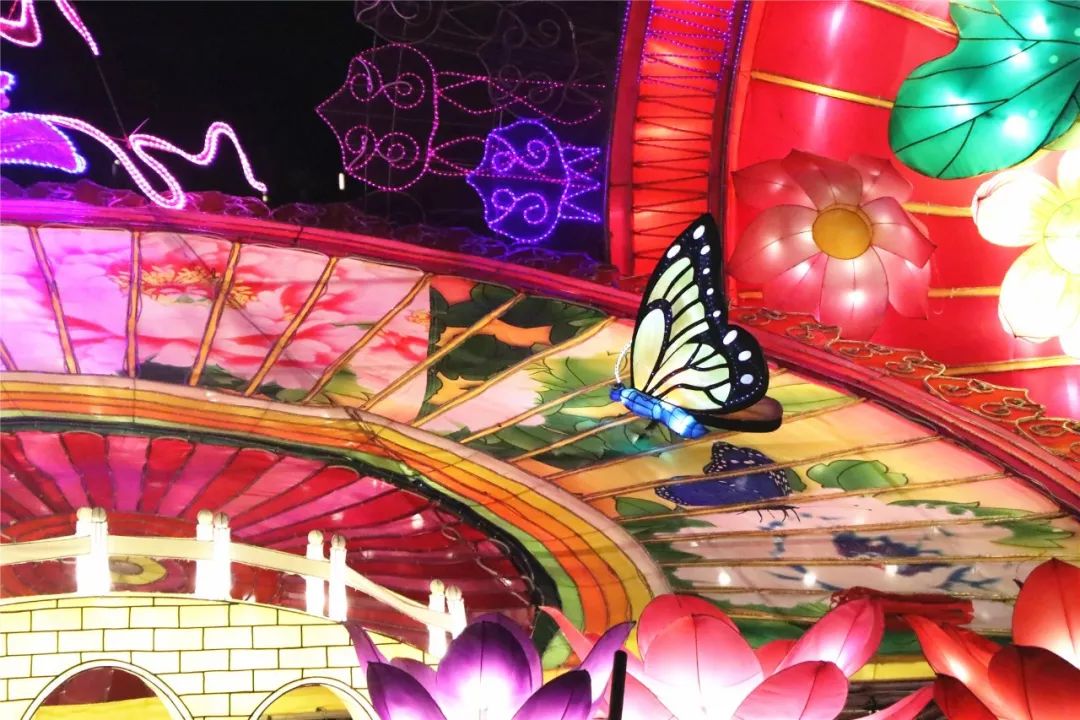 美美美!现在起到10月底,佛山这个超靓灯会喊你来约会,免费!