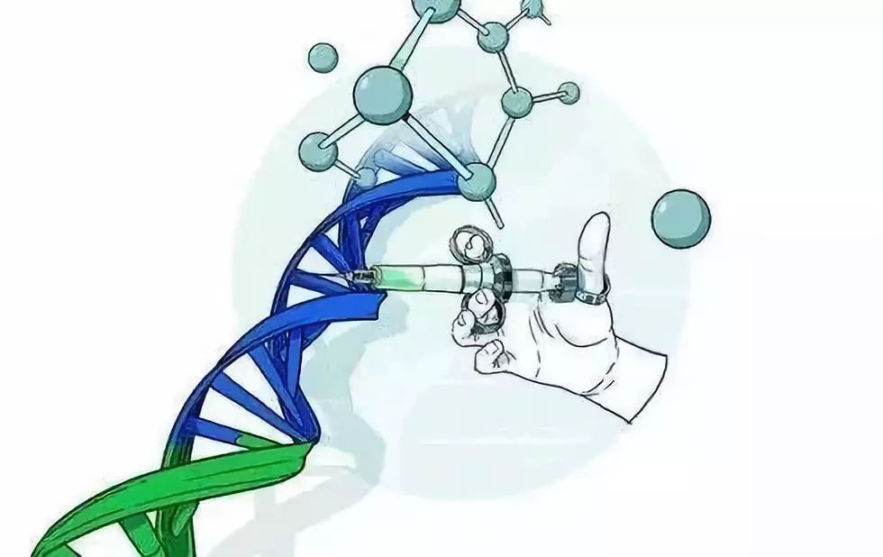 人体内检测到转基因成分,中国人体内出现转基因作物