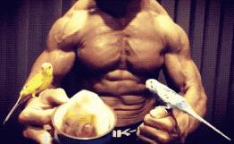 捧着仓鼠晒肌肉……这位“杀手”大叔的画风真是健身界的一股清流