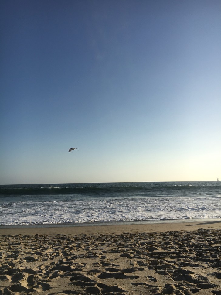 美国纽约自驾游最佳路线图,美国西部大环线自驾游攻略