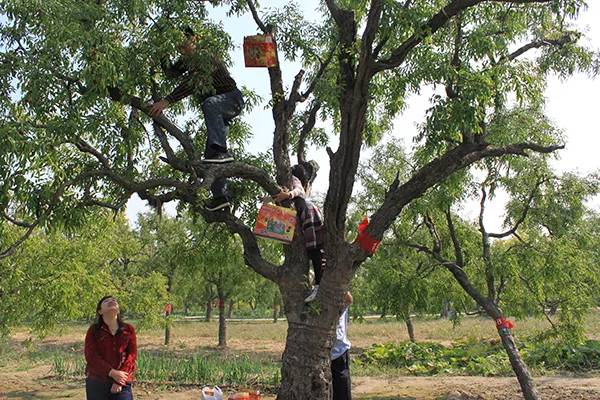 农秀才：农业农村部推荐100个休闲农业和乡村旅游精品景点线路