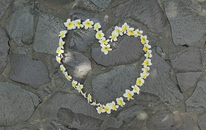 leica徕卡c-lux2多少钱,徕卡clux变焦