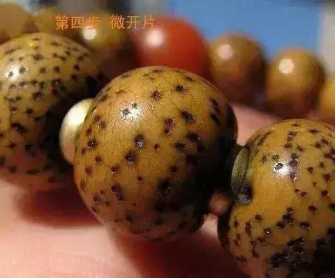 百年老星月手串,百年老星月盘玩视频