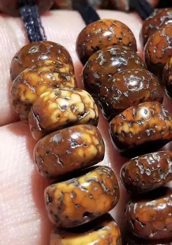 百年老星月手串,百年老星月盘玩视频