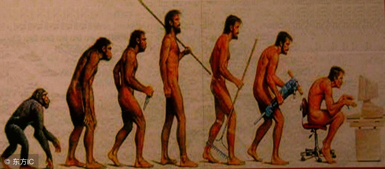 生物起源是进化论还是神论,生物进化论人类的起源