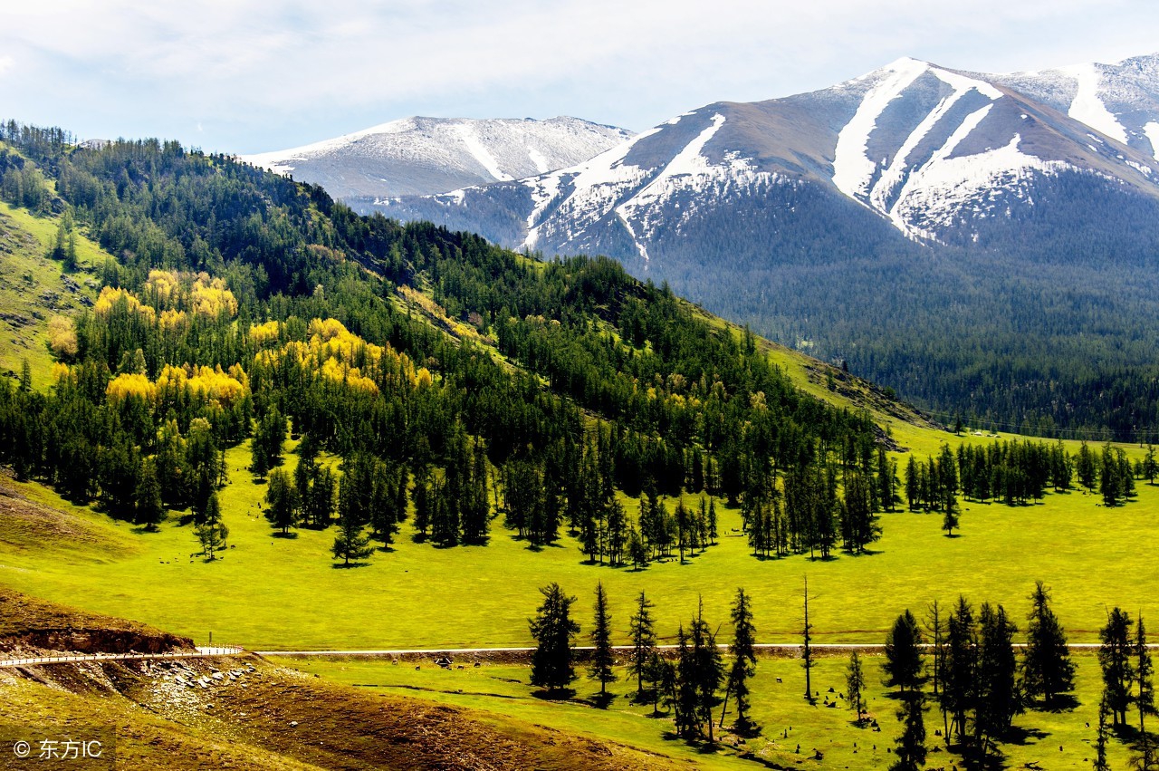 写作文最容易跑题的陷阱,为什么孩子写作文总是跑题