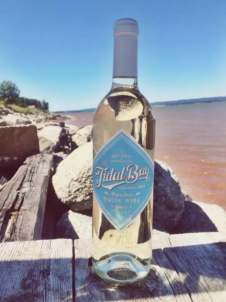 打开王潇的手账，约会加拿大新斯科舍省，遇见不一样的生活惊喜