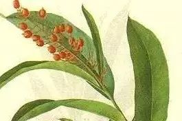 万物之间的相生相克,自然界中的万物相生相克