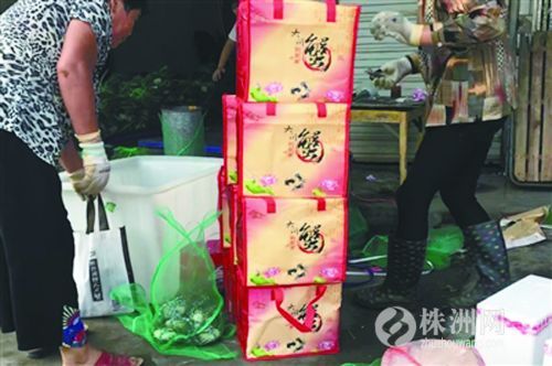 假的阳澄湖大闸蟹有什么不一样吗,假阳澄湖蟹