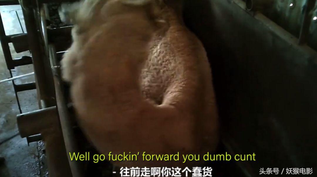 生活究竟有多么残酷,如果你觉得生活很苦不妨看一看