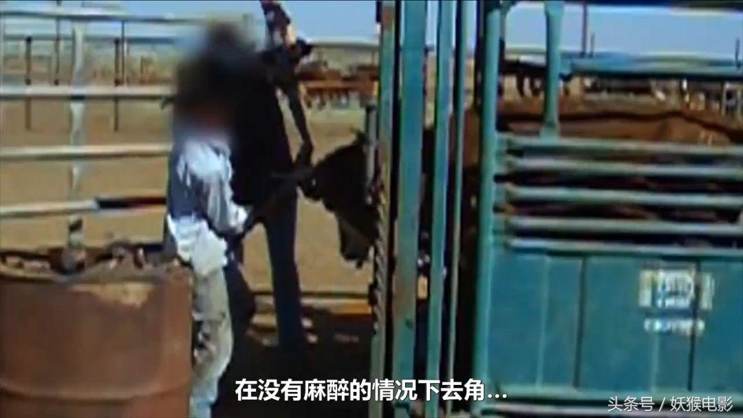 生活究竟有多么残酷,如果你觉得生活很苦不妨看一看