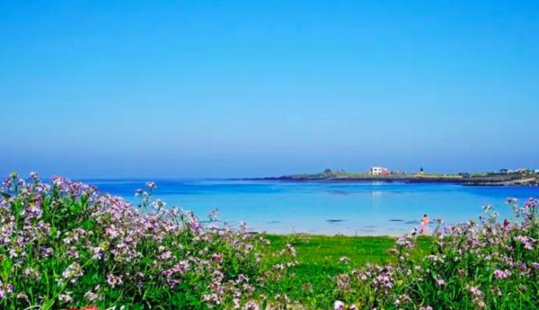 济州岛一年往返12次,到济州岛旅行行程