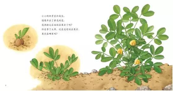 1-3岁地板书绘本,儿童绘本3-6岁套装推荐