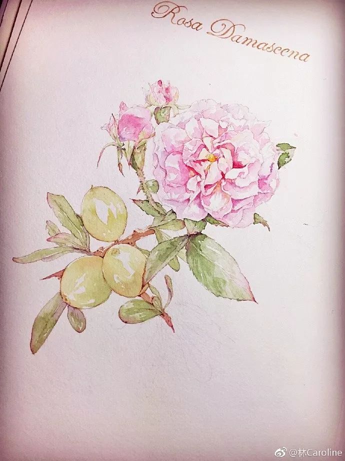 央视最美插画,央视点赞最美老师