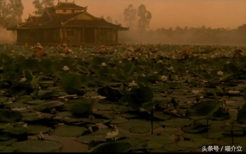 它们恰似，法国姑娘热情奔放浪漫与越南姑娘含蓄温柔的完美结合