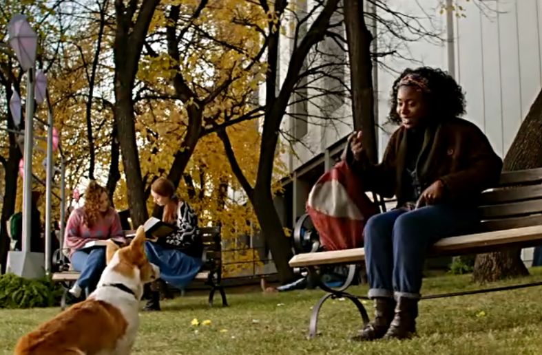 关于狗狗的一部很感人的电影,狗狗感人电影一条狗的使命