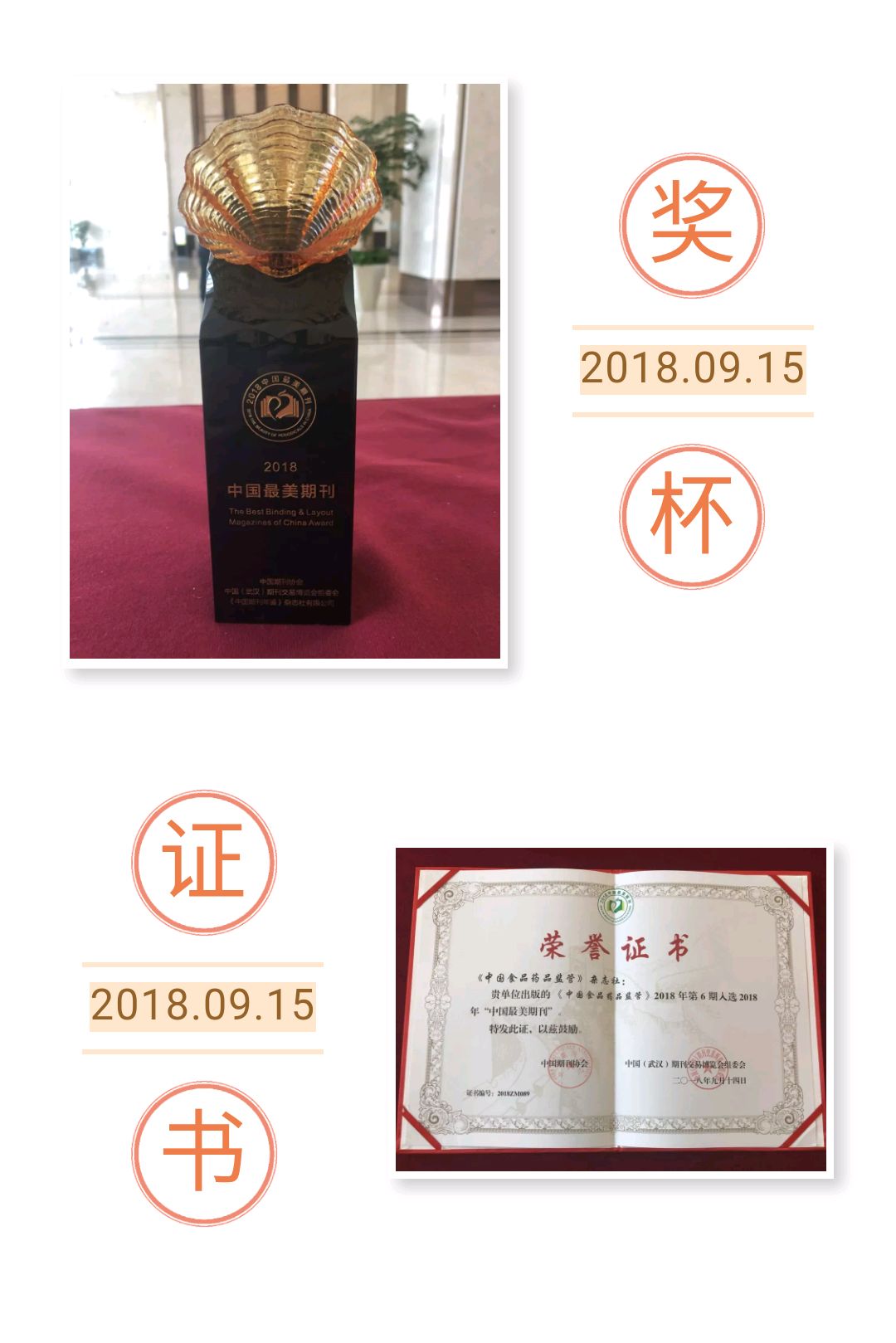 中国最美杂志,中国最美健康期刊