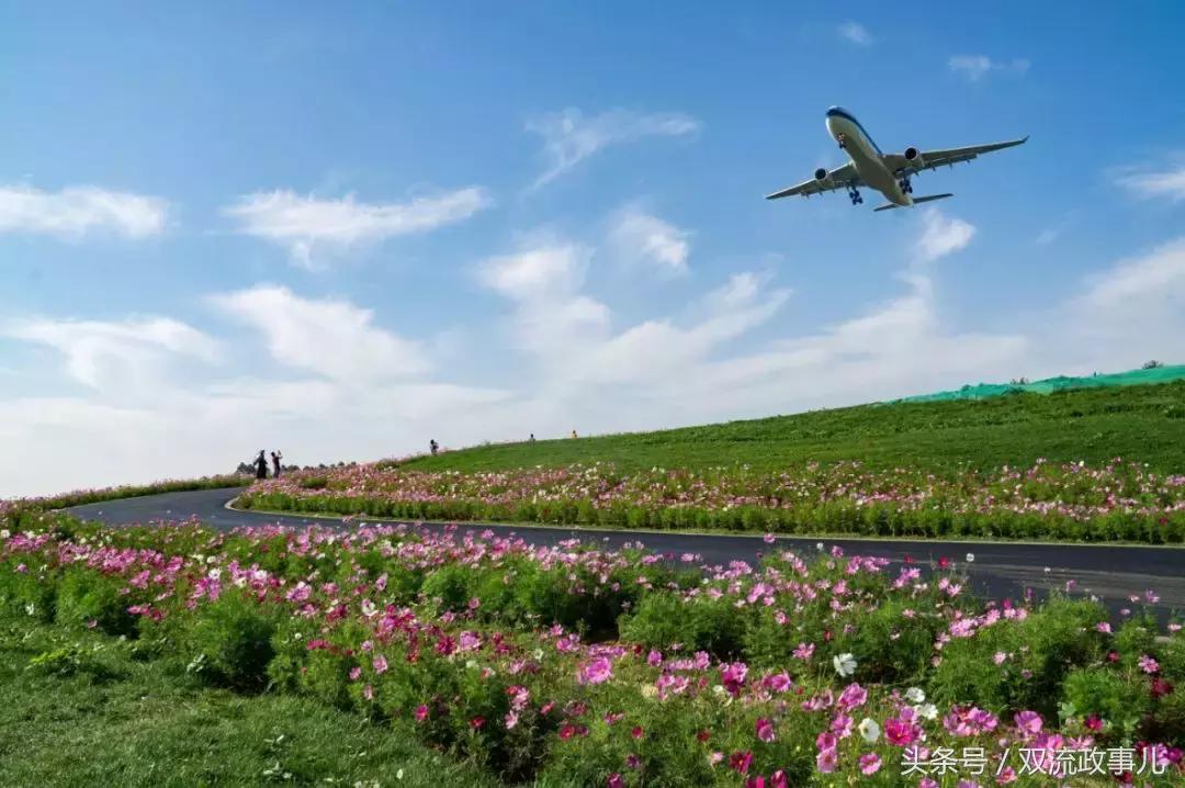 他山之石可以攻玉感悟,他山之石可以攻玉的另一种说法