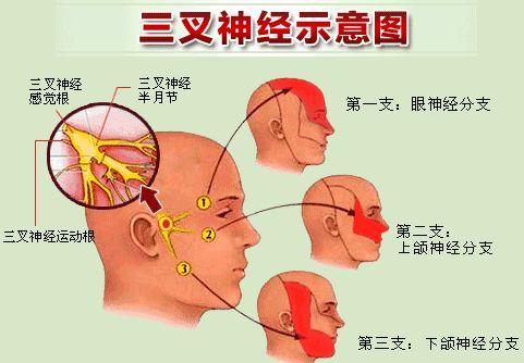 名医手记∣兰大一院专家提醒您：天凉了，若牙齿痛”“眼皮跳”您可得小心了！