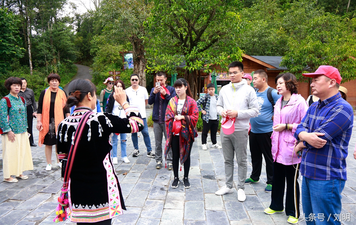 蚂蚁旅游专线云南之旅,蚂蚁旅游行