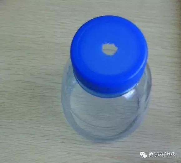 塑料瓶怎么剪可以种花,怎样剪矿泉水瓶种花