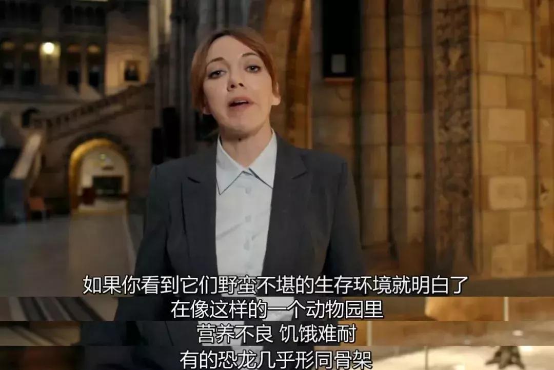 一本正经胡扯的BBC，污力满分！