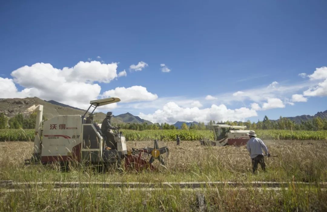 划重点｜鼓励农业科研人员到企业兼职兼薪“名利双收”