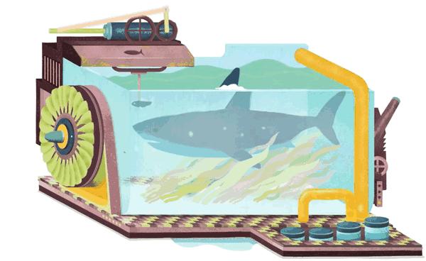 护肤偷懒我的脸竟然一整个垮掉,冬季脸皮干燥起皮怎么护肤