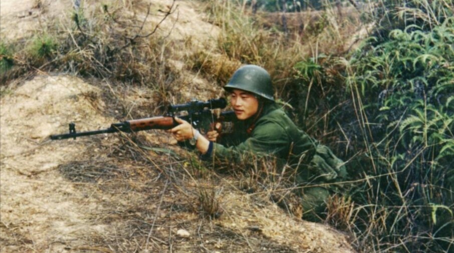 1979年对越自卫反击战武器对比,1979年对越作战炮兵