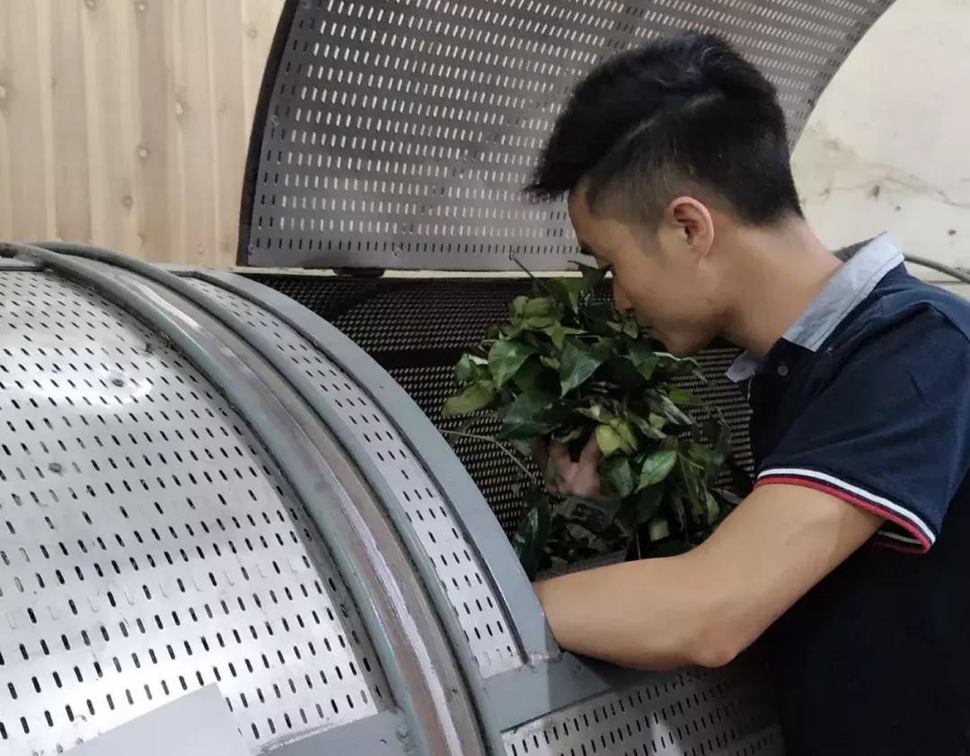 正岩肉桂山场味,武夷正岩茶岩骨花香