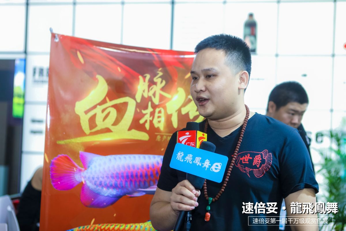 十大顶级巨型观赏鱼视频播放,顶级观赏鱼高清全屏视频